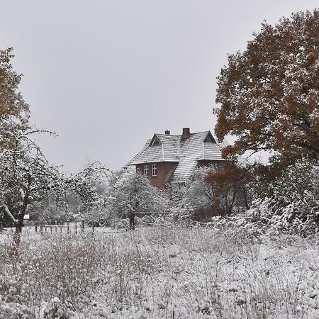 Ferienwohnung Ehemalige Revierfoersterei "Uns Luett" Kuhstorf Esterno foto