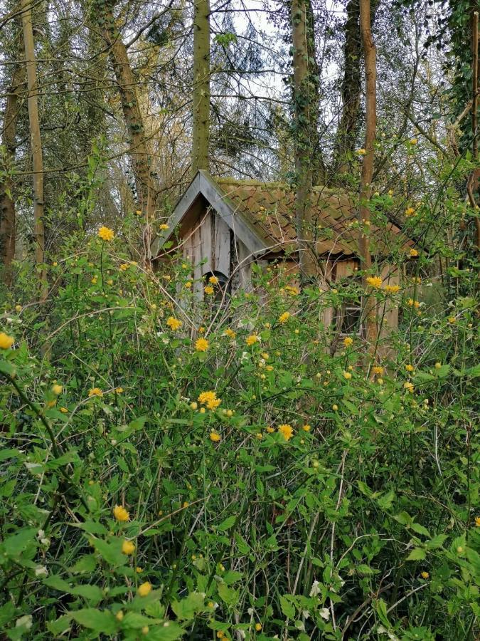Ferienwohnung Ehemalige Revierfoersterei "Uns Luett" Kuhstorf Esterno foto