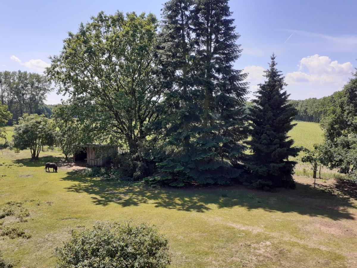 Ferienwohnung Ehemalige Revierfoersterei "Uns Luett" Kuhstorf Esterno foto