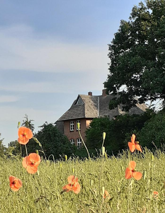 Ferienwohnung Ehemalige Revierfoersterei "Uns Luett" Kuhstorf Esterno foto