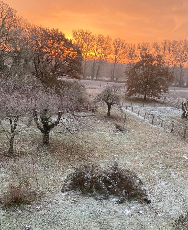 Ferienwohnung Ehemalige Revierfoersterei "Uns Luett" Kuhstorf Esterno foto
